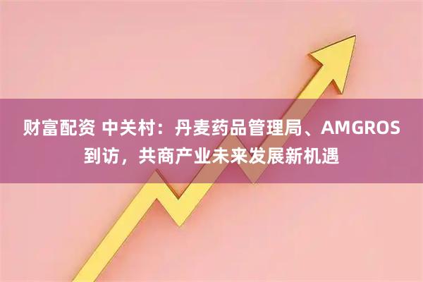 财富配资 中关村：丹麦药品管理局、AMGROS到访，共商产业未来发展新机遇